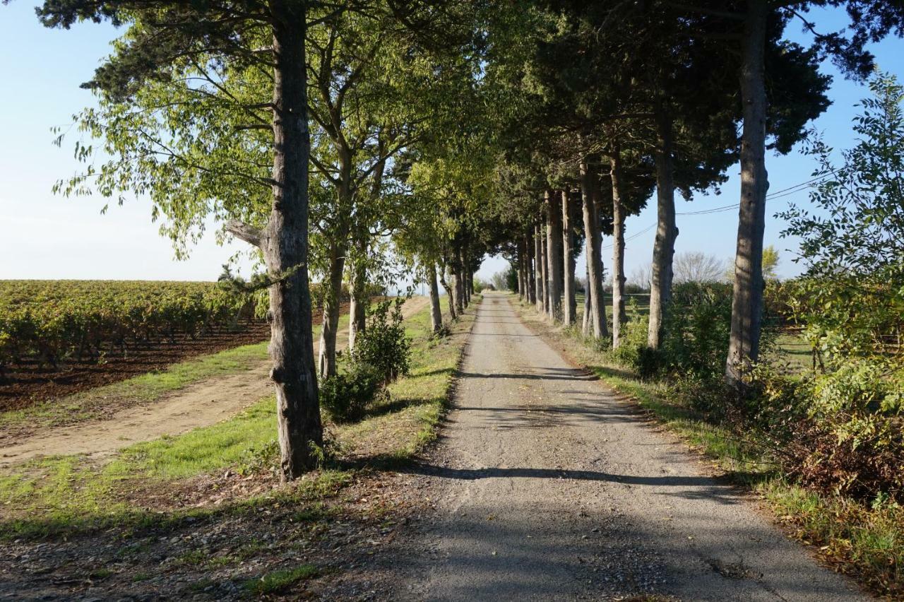 Le Clos des Troubadours Pennautier Exterior foto